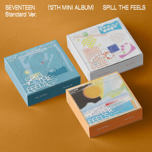 SEVENTEEN - SPILL THE FEELS 12TH MINI ALBUM STANDARD