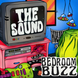 THE SOUND - 2nd Standard Album [BEDROOM BUZZ]