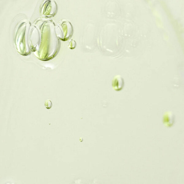[Beauty of Joseon] Calming Serum : Green tea + Panthenol - 30ml - Image 2