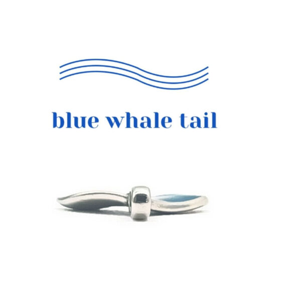 BTS Jungkook's pick - Silver / Blue Dolphin Tail Pendant Necklace(Abandoned Animals Charity Sponsorship) - Image 14