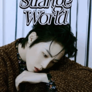 [POSTER#153,154] Ha Sung Woon - Strange World