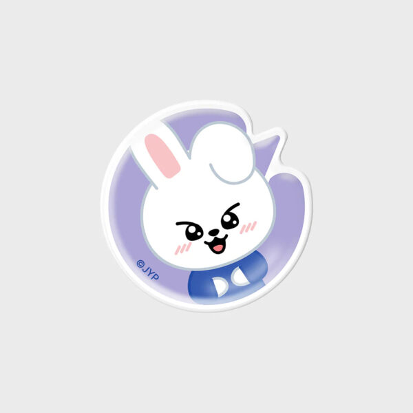 STRAY KIDS SKZOO NFC Theme Tok - Image 2
