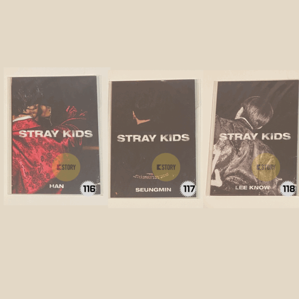 [Mini Photobook] Stray Kids In Life Mini PhotoBook - Image 2