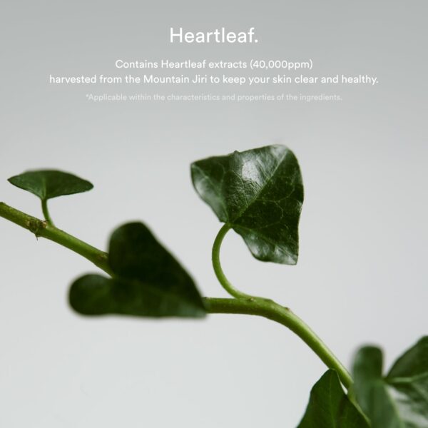 [Abib] Heartleaf Spot Pad Calming Touch - 150ml / 80pads - Image 7