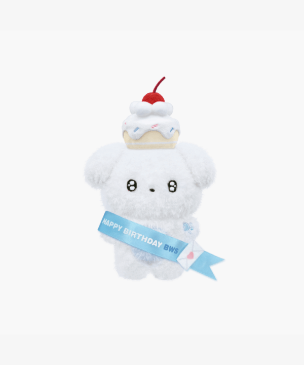 BYEON WOO SEOK - HBD BWS 2024 BWS HBD OFFICIAL MD PROP SET - Image 2