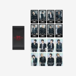 STRAY KIDS - dominATE SEOUL WORLD TOUR OFFICIAL MD SPECIAL TRADING CARD
