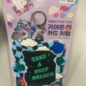 DAISO - PHOTOCARD HOLDER (CLOUD)